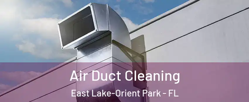  Air Duct Cleaning East Lake-Orient Park - FL