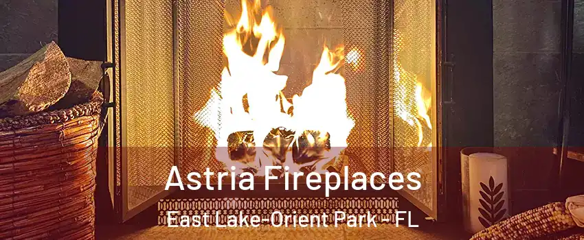  Astria Fireplaces East Lake-Orient Park - FL