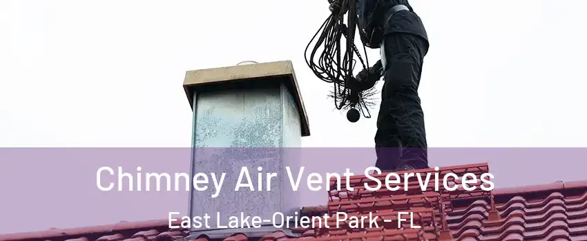  Chimney Air Vent Services East Lake-Orient Park - FL