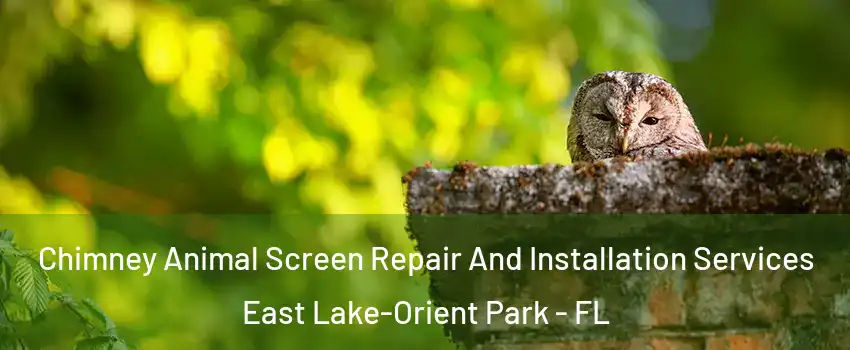  Chimney Animal Screen Repair And Installation Services East Lake-Orient Park - FL