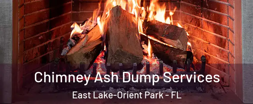  Chimney Ash Dump Services East Lake-Orient Park - FL