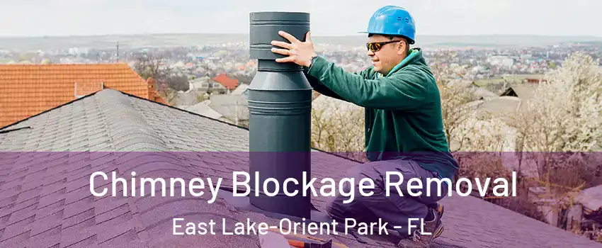  Chimney Blockage Removal East Lake-Orient Park - FL