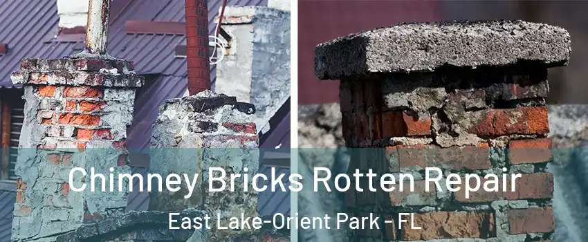  Chimney Bricks Rotten Repair East Lake-Orient Park - FL