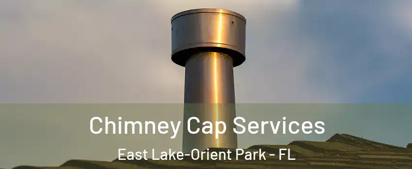  Chimney Cap Services East Lake-Orient Park - FL