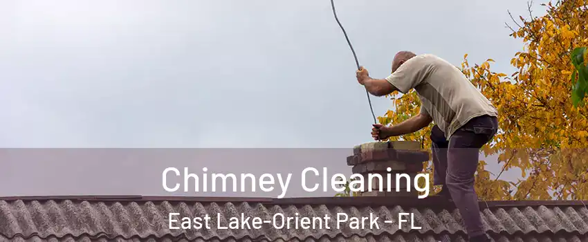  Chimney Cleaning East Lake-Orient Park - FL