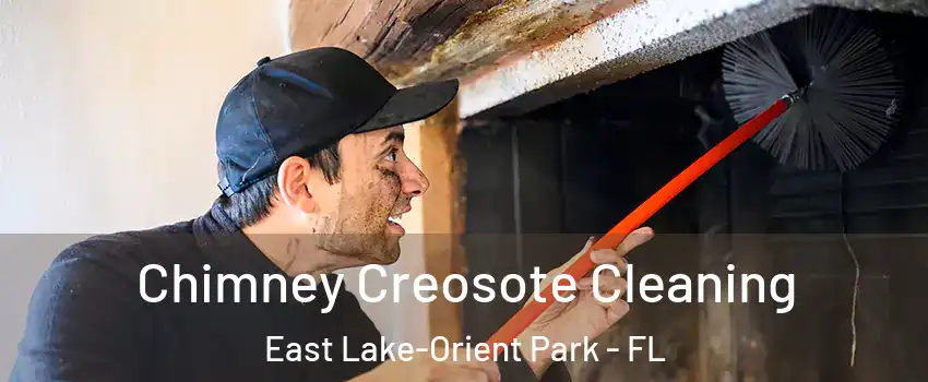  Chimney Creosote Cleaning East Lake-Orient Park - FL
