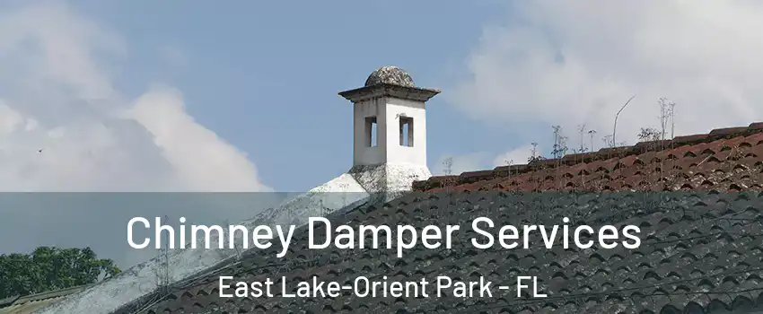  Chimney Damper Services East Lake-Orient Park - FL