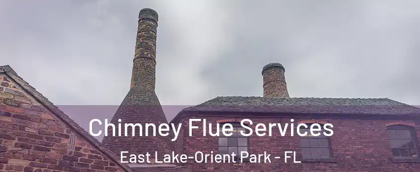  Chimney Flue Services East Lake-Orient Park - FL