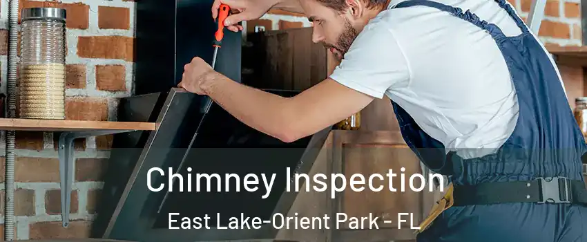 Chimney Inspection East Lake-Orient Park - FL