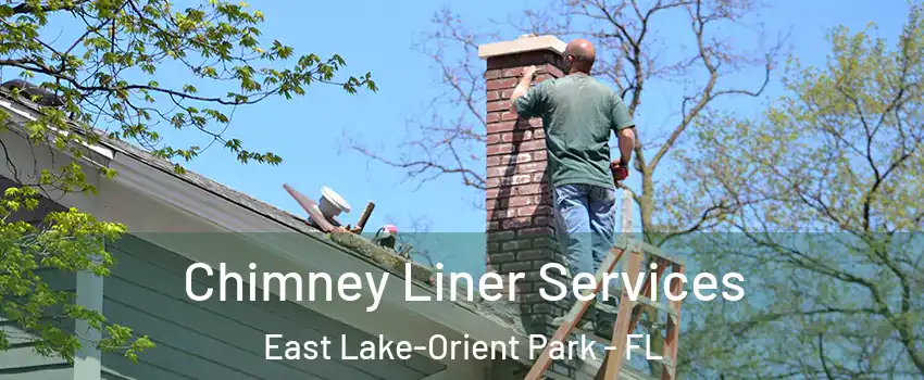  Chimney Liner Services East Lake-Orient Park - FL