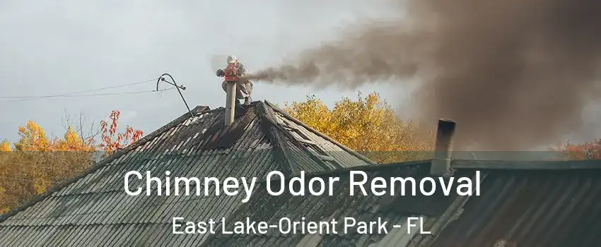  Chimney Odor Removal East Lake-Orient Park - FL