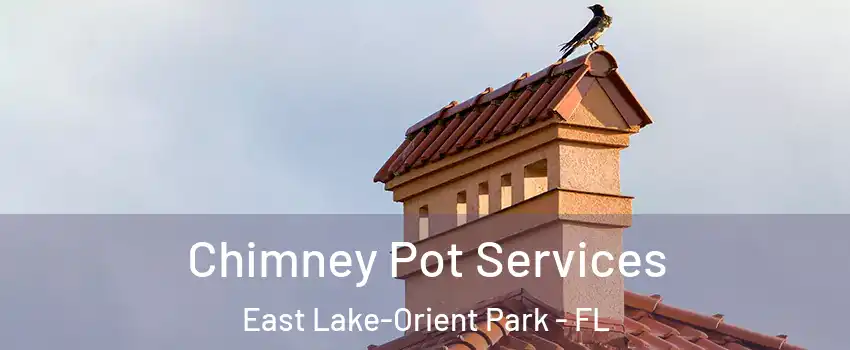  Chimney Pot Services East Lake-Orient Park - FL