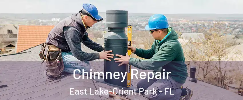  Chimney Repair East Lake-Orient Park - FL