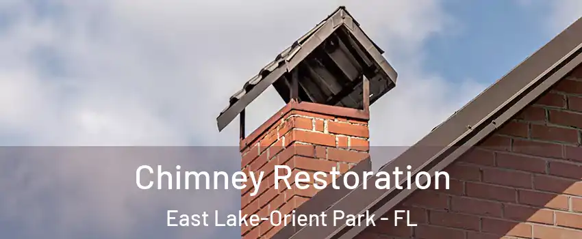  Chimney Restoration East Lake-Orient Park - FL