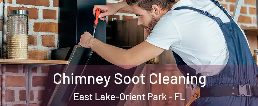  Chimney Soot Cleaning East Lake-Orient Park - FL