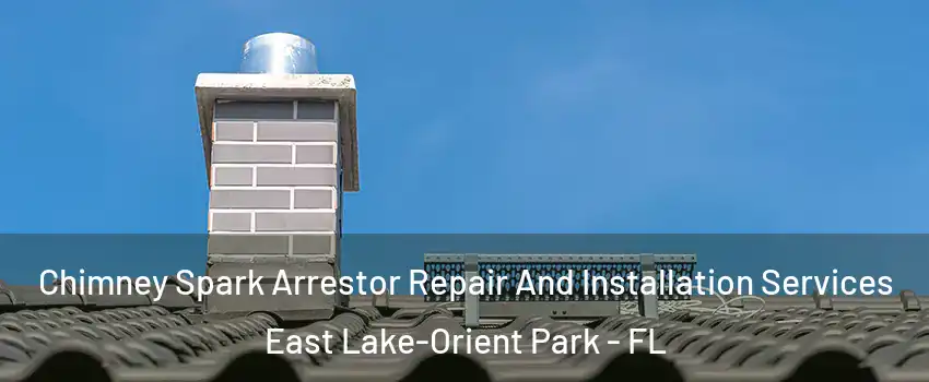  Chimney Spark Arrestor Repair And Installation Services East Lake-Orient Park - FL