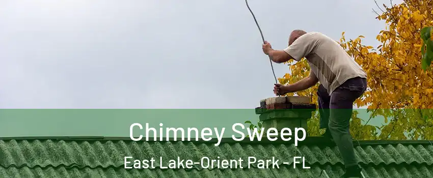 Chimney Sweep East Lake-Orient Park - FL