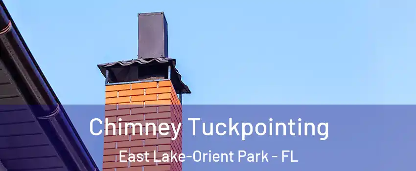  Chimney Tuckpointing East Lake-Orient Park - FL