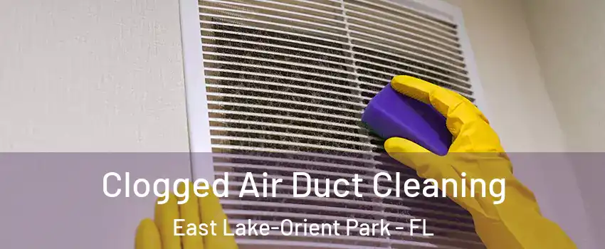  Clogged Air Duct Cleaning East Lake-Orient Park - FL