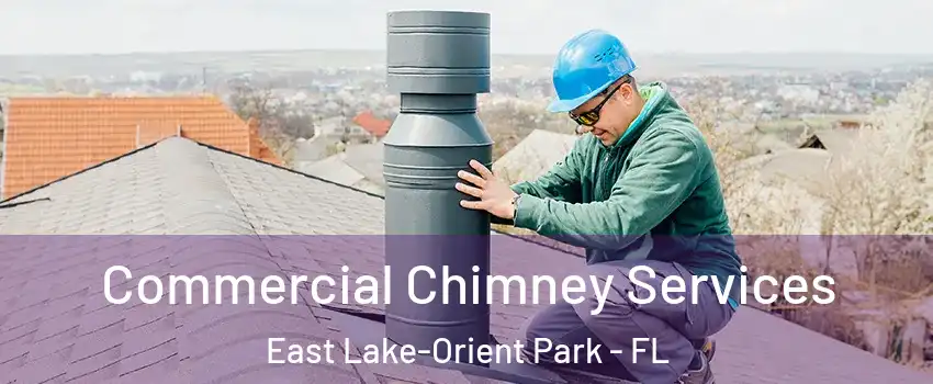  Commercial Chimney Services East Lake-Orient Park - FL