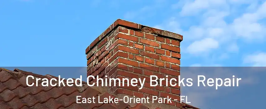  Cracked Chimney Bricks Repair East Lake-Orient Park - FL