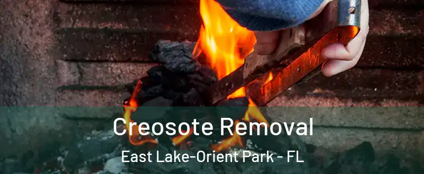  Creosote Removal East Lake-Orient Park - FL