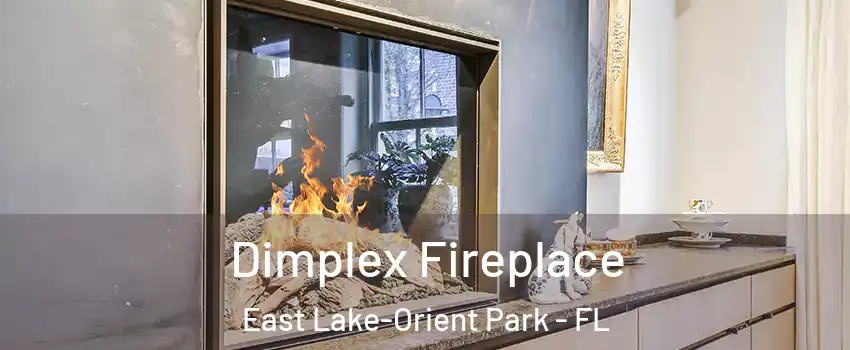  Dimplex Fireplace East Lake-Orient Park - FL