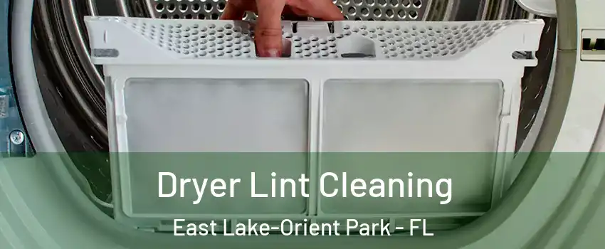  Dryer Lint Cleaning East Lake-Orient Park - FL