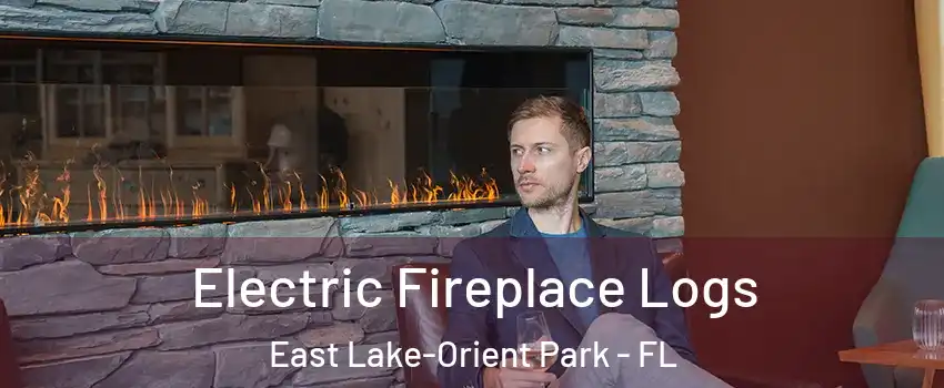  Electric Fireplace Logs East Lake-Orient Park - FL
