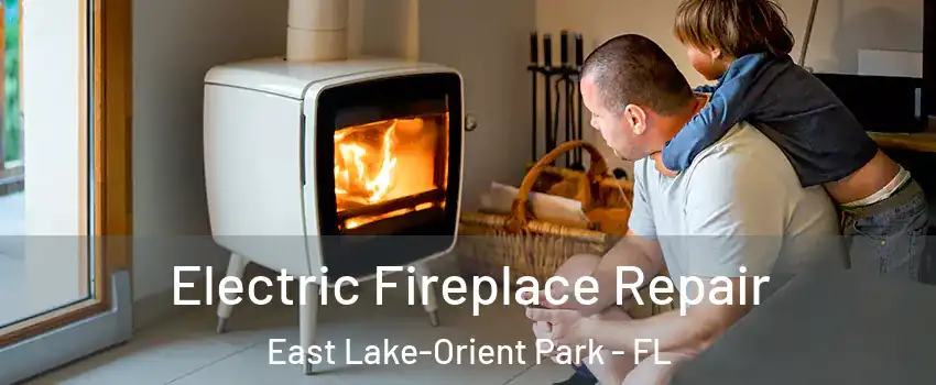  Electric Fireplace Repair East Lake-Orient Park - FL