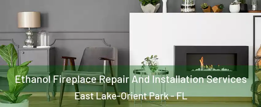  Ethanol Fireplace Repair And Installation Services East Lake-Orient Park - FL