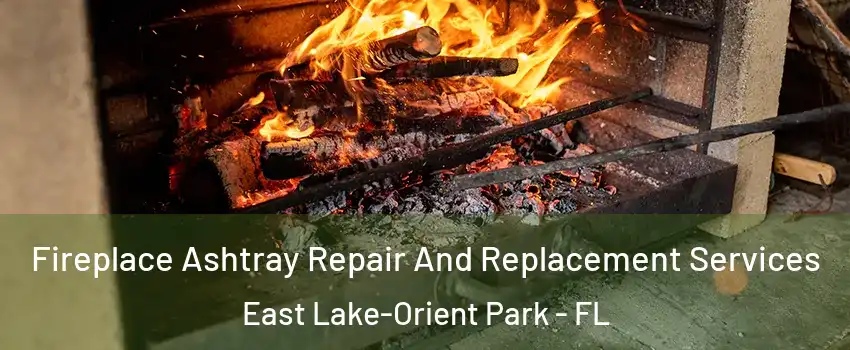  Fireplace Ashtray Repair And Replacement Services East Lake-Orient Park - FL