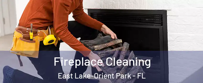  Fireplace Cleaning East Lake-Orient Park - FL
