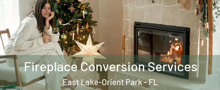  Fireplace Conversion Services East Lake-Orient Park - FL