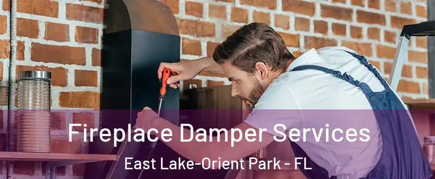  Fireplace Damper Services East Lake-Orient Park - FL