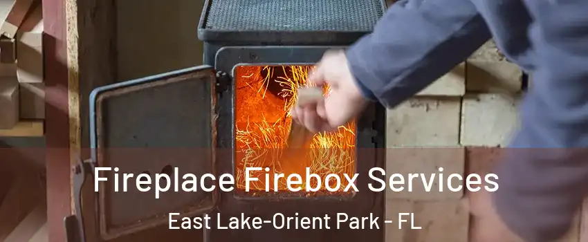  Fireplace Firebox Services East Lake-Orient Park - FL