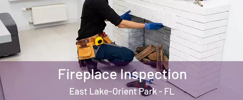  Fireplace Inspection East Lake-Orient Park - FL