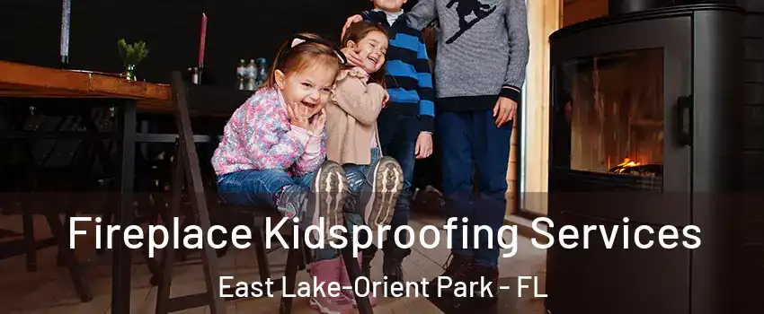  Fireplace Kidsproofing Services East Lake-Orient Park - FL