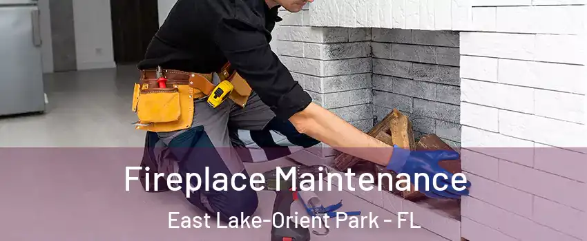  Fireplace Maintenance East Lake-Orient Park - FL
