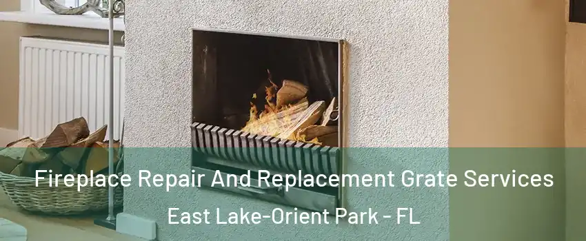  Fireplace Repair And Replacement Grate Services East Lake-Orient Park - FL