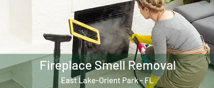  Fireplace Smell Removal East Lake-Orient Park - FL