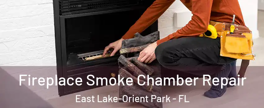  Fireplace Smoke Chamber Repair East Lake-Orient Park - FL