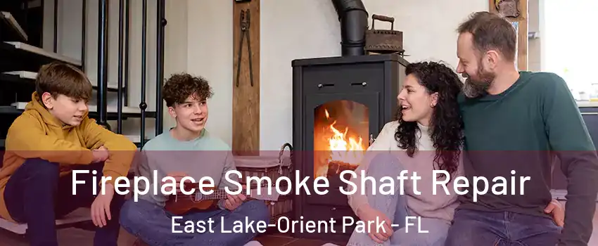  Fireplace Smoke Shaft Repair East Lake-Orient Park - FL