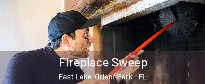  Fireplace Sweep East Lake-Orient Park - FL