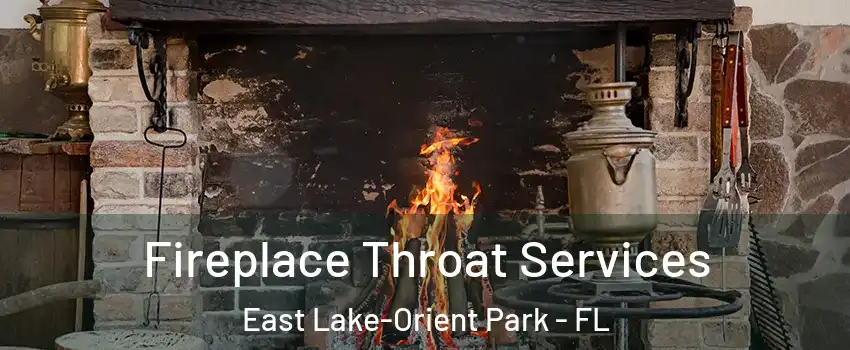  Fireplace Throat Services East Lake-Orient Park - FL