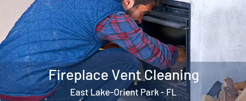  Fireplace Vent Cleaning East Lake-Orient Park - FL