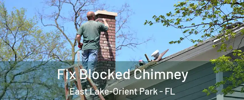  Fix Blocked Chimney East Lake-Orient Park - FL