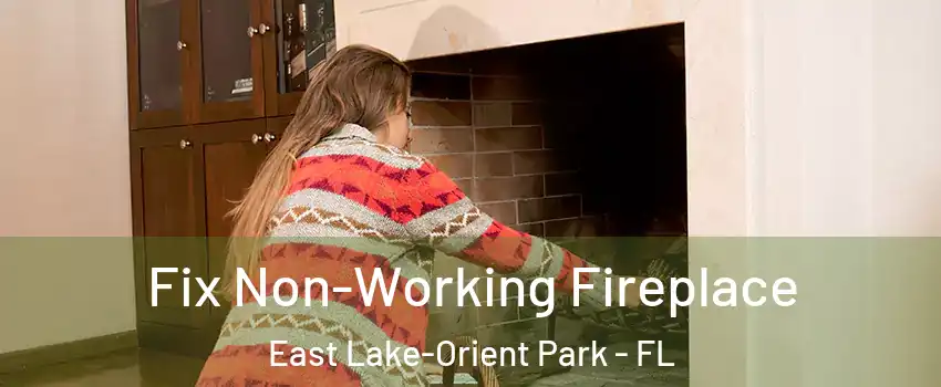  Fix Non-Working Fireplace East Lake-Orient Park - FL