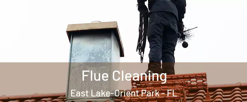  Flue Cleaning East Lake-Orient Park - FL