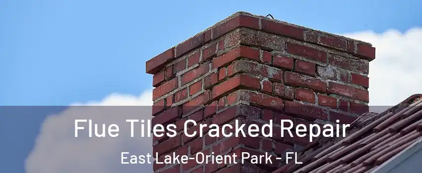  Flue Tiles Cracked Repair East Lake-Orient Park - FL